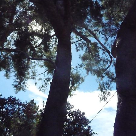 Woodland Hills Calabasas Guesthouses Los Angeles Bagian luar foto