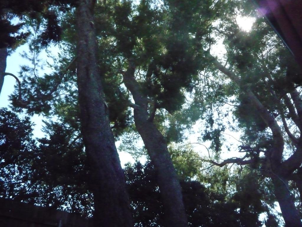 Woodland Hills Calabasas Guesthouses Los Angeles Bagian luar foto