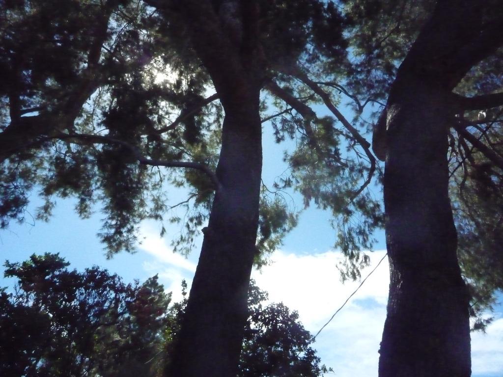 Woodland Hills Calabasas Guesthouses Los Angeles Bagian luar foto